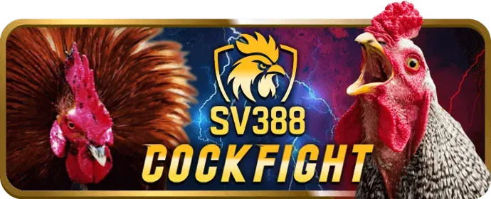 Chơi có trách nhiệm Xin88